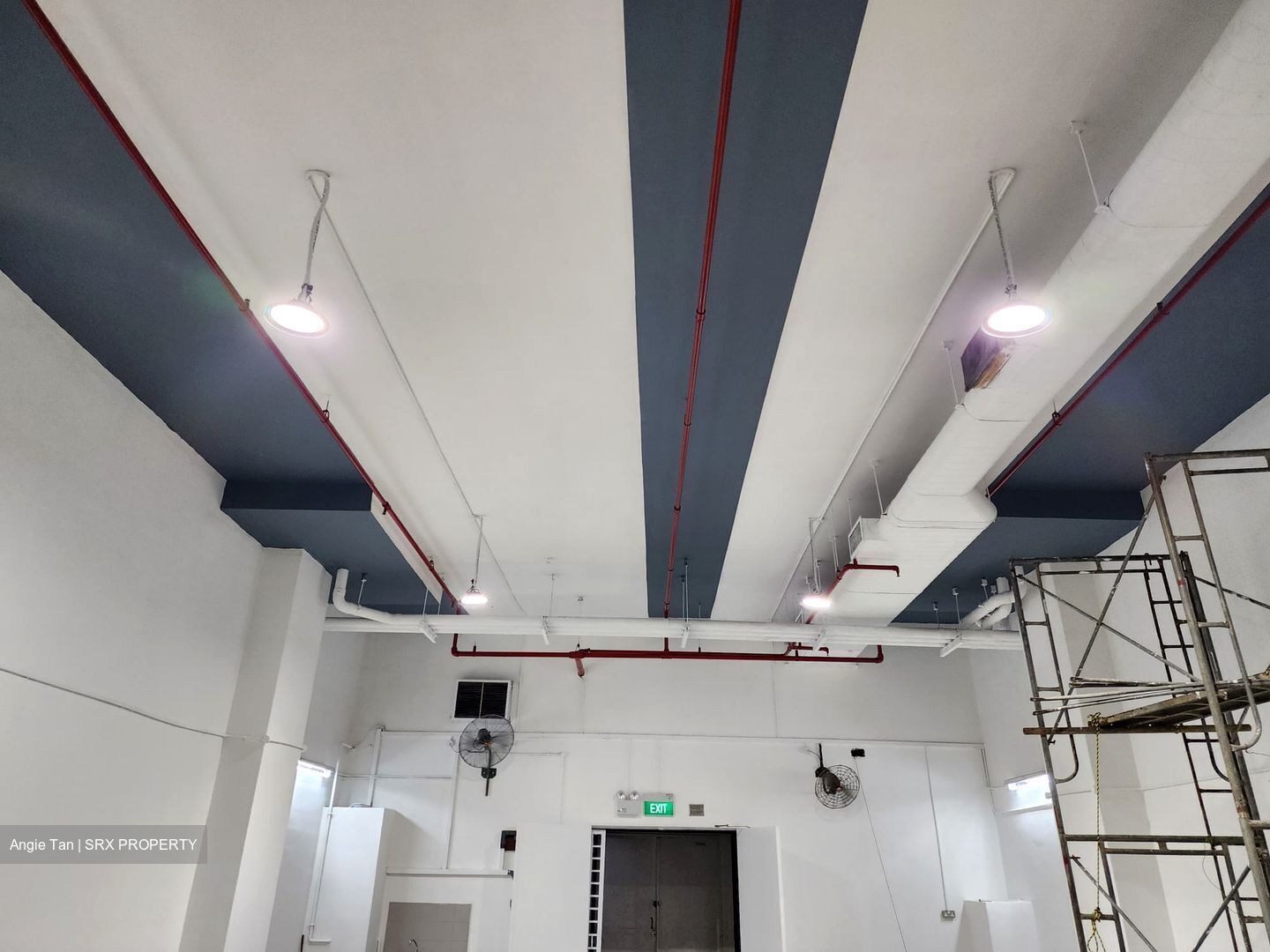 Pantech Business Hub (D5), Factory #635542121
